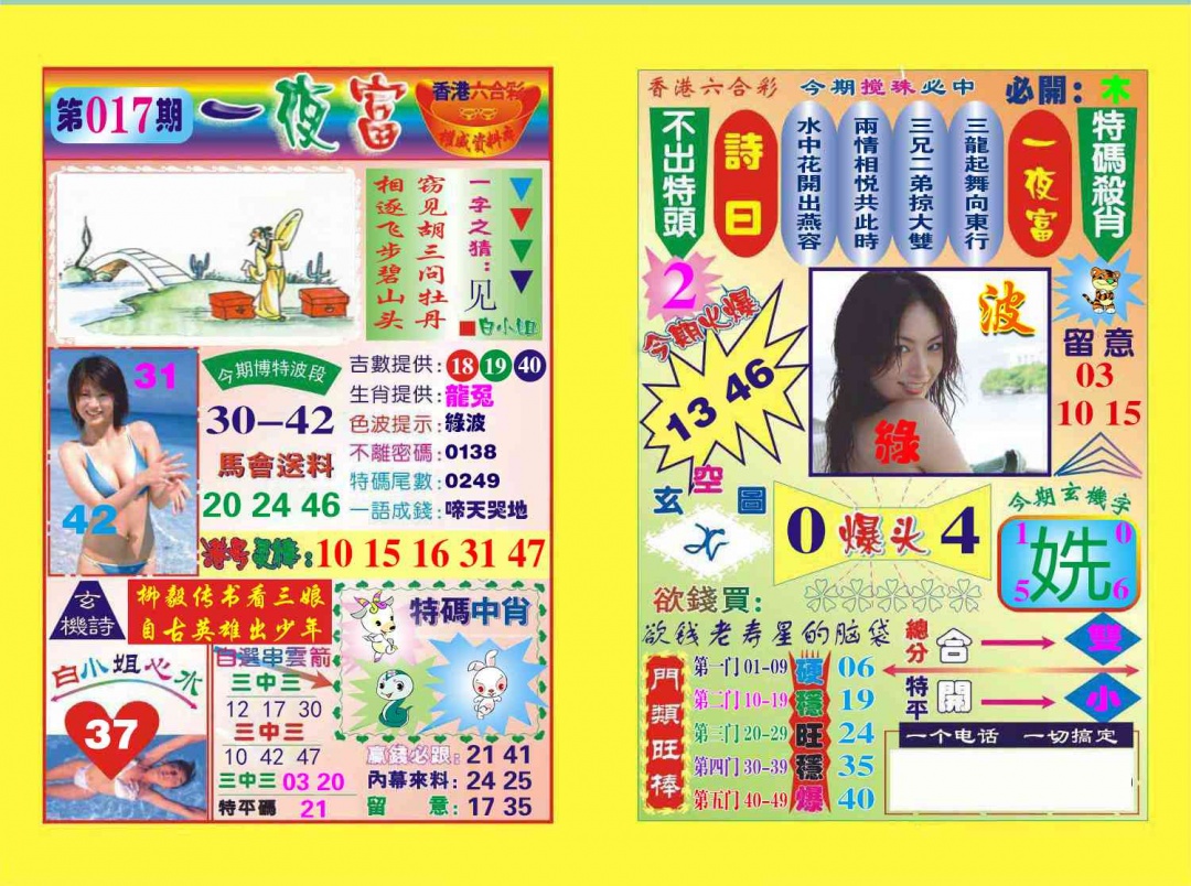 017期一夜富[图]